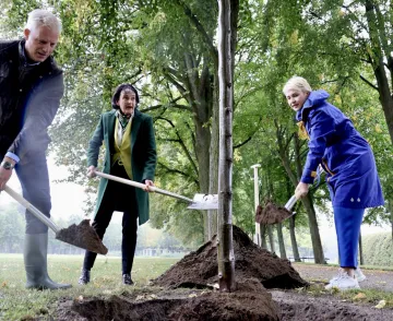 Zwei Frauen und ein Mann halten Spaten in der Hand und schaufeln Erde in ein Loch mit einem Baum.